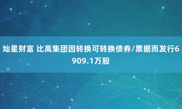 灿星财富 比高集团因转换可转换债券/票据而发行6909.1万股